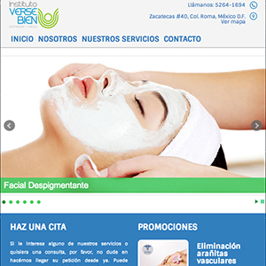 Pagina de Inicio - Instituto Verse Bien - Versión Tablet